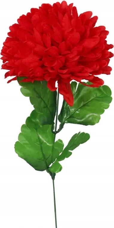 Krizantém Szimpla Virág 75 cm Piros Virágdekoráció