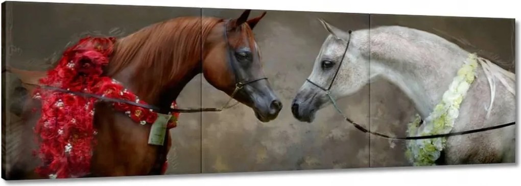 Vászonkép 150x50 Ló Lovak Lovaglás