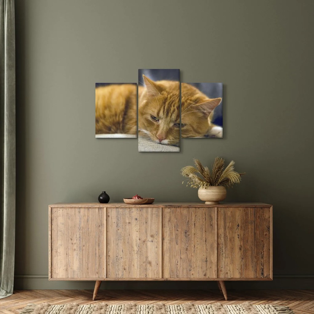 Macska képe (90x60 cm)