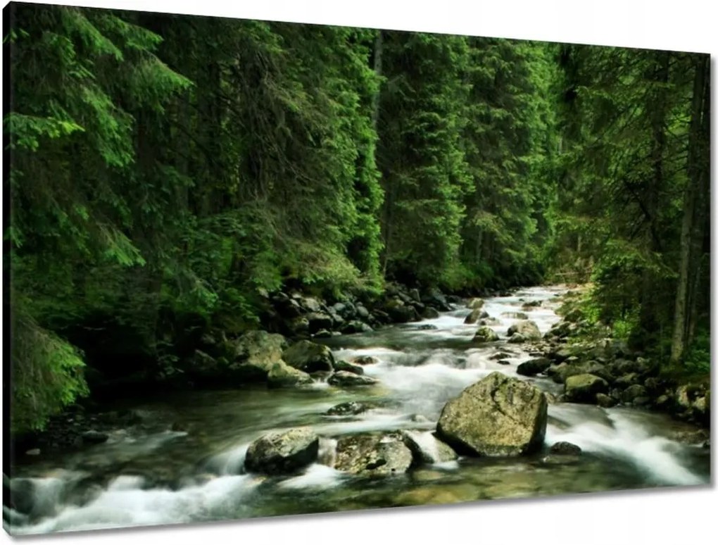 Vászonkép 90x60 Folyó a Tátrában