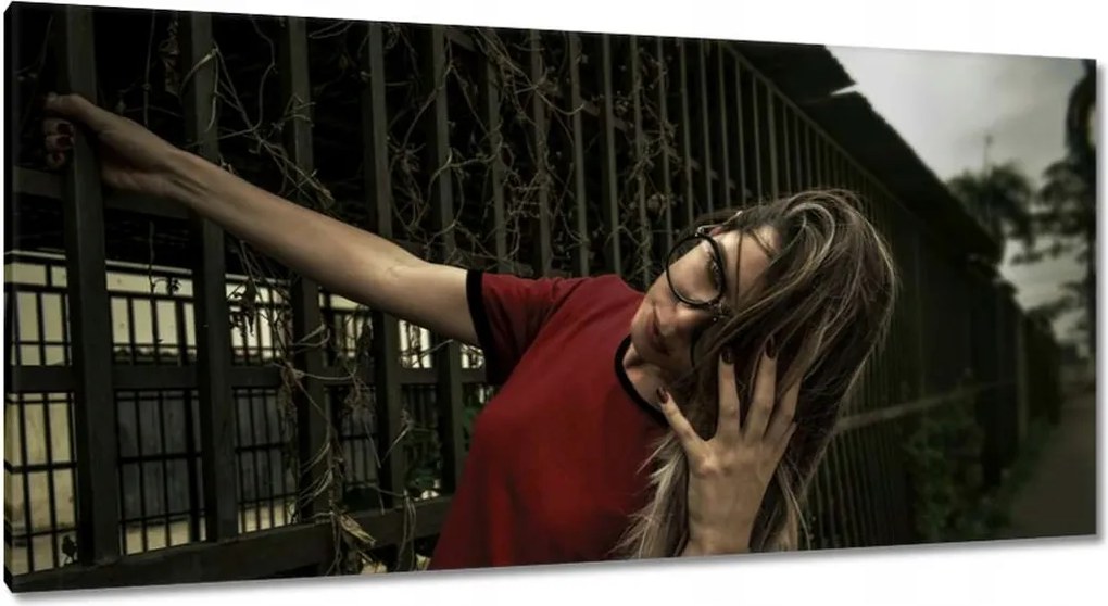 Vászonkép 115x55 Bordó vagy bordó