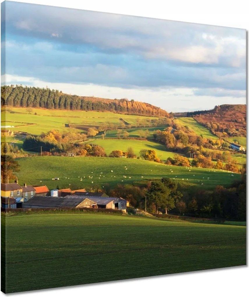 Vászonkép 50x50 Hegyi völgy