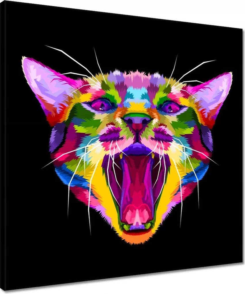 Vászonkép 50x50 Absztrakt macska