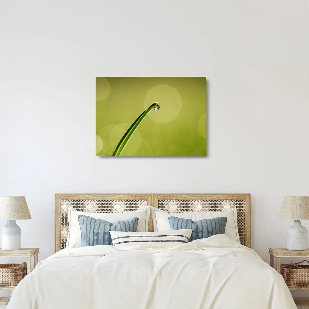 Víz csepp a fűben képe (üvegen) (70x50 cm)