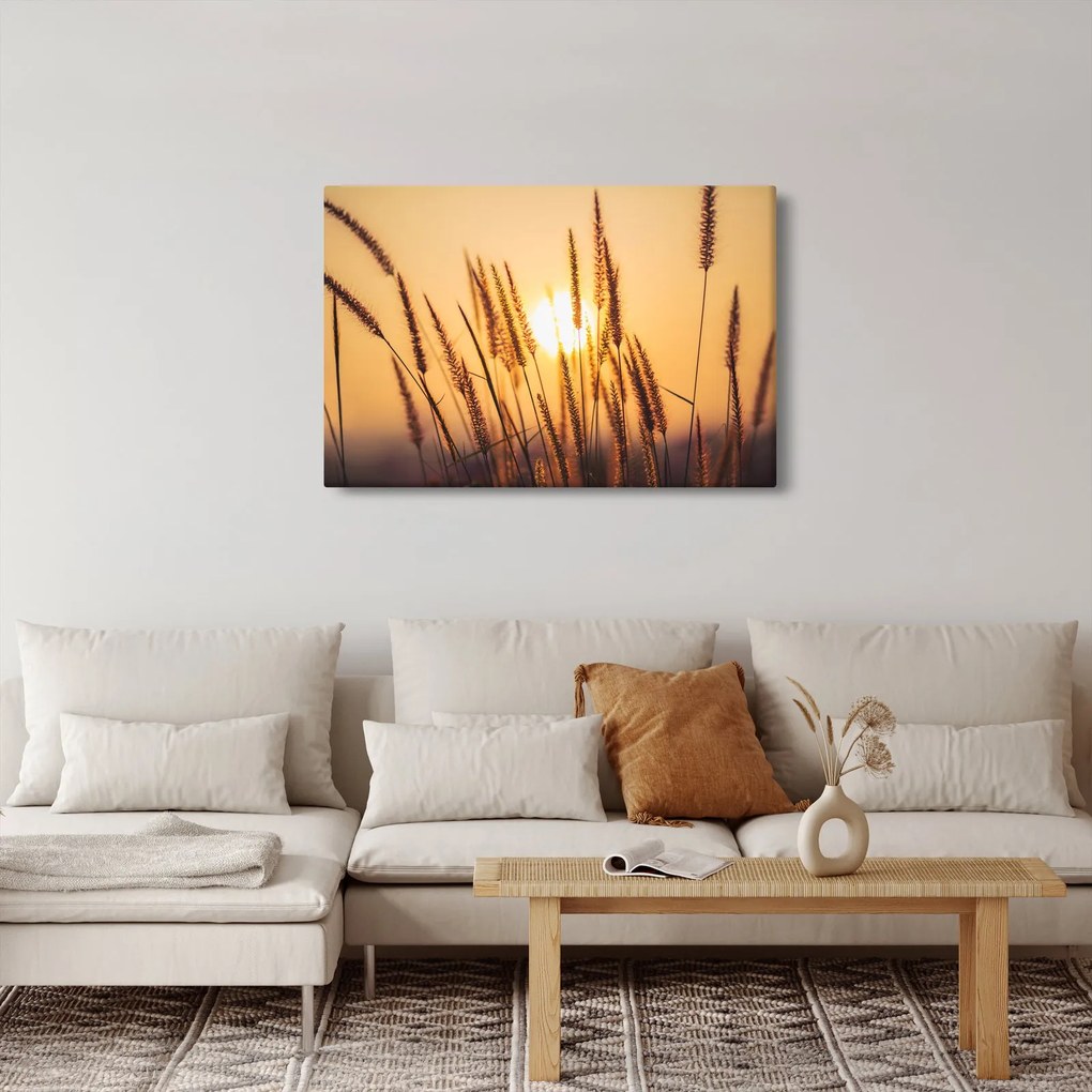 Kép - Füvek a napon (90x60 cm)