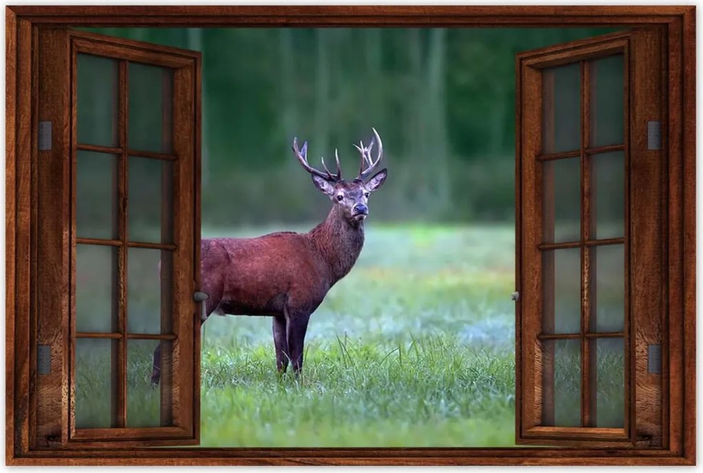 Poszterek 120x80 Szarvas Erdő Tájkép