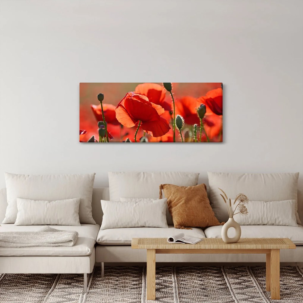 Pipacsok képe (120x50 cm)