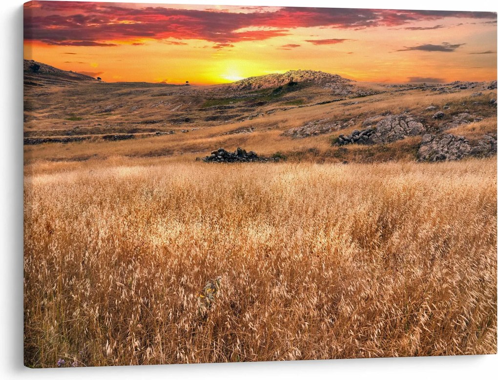 Mező képe (70x50 cm)