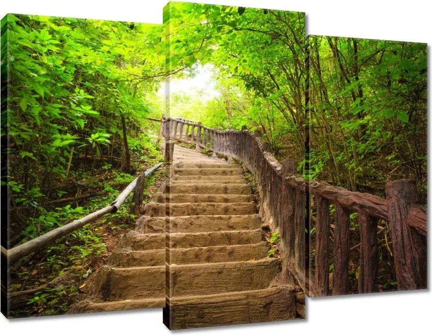 Vászonkép 90x70 Lépcsők az erdőbe