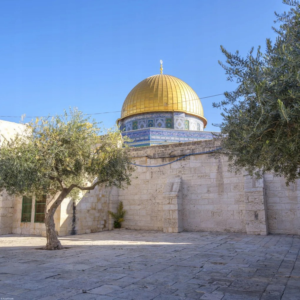 Poszter 40x40cm Al-Aksza mecset, Assaf Frank