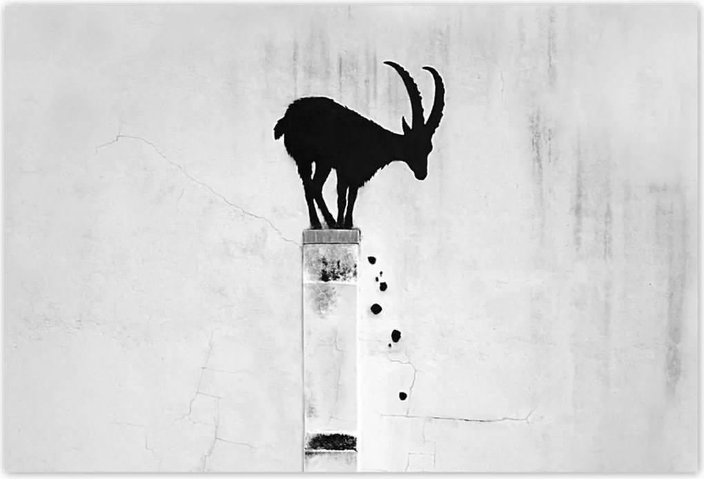 Fotótapéták 200x135 Kozica Banksy Gazella hegyi Nincs magánélet Falfestmény