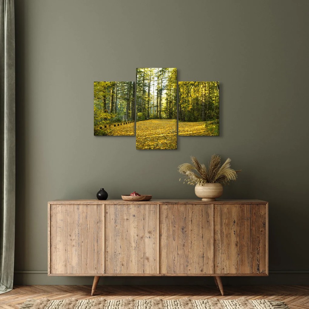 Kép - erdő ősszel (90x60 cm)