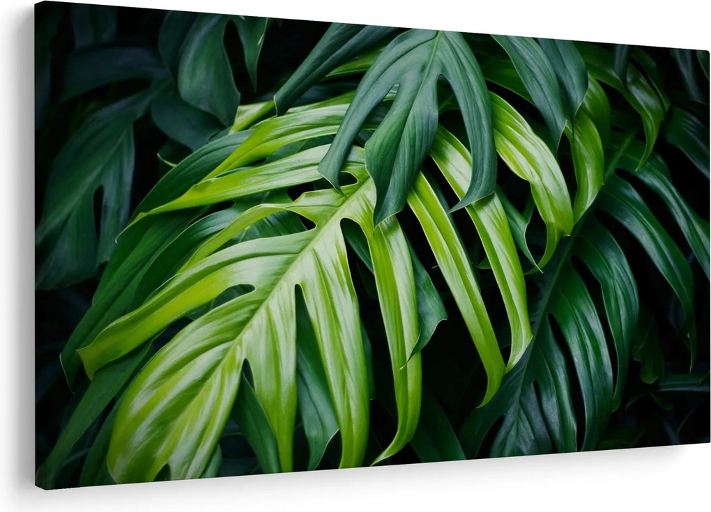 Kép - trópusi levelek (90x60 cm)