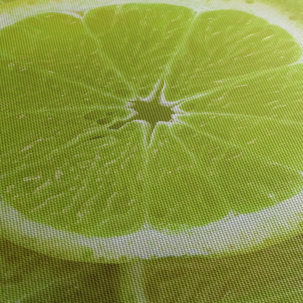 Kép - citrom szelet (90x60 cm)
