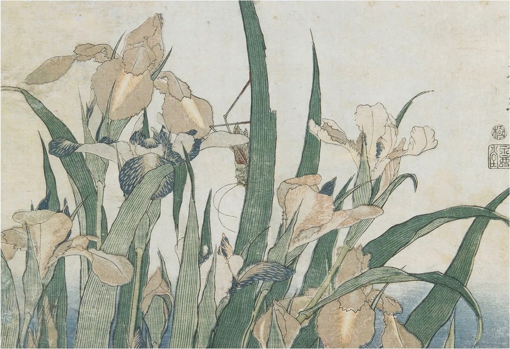 Flizelina Dekoratív Fotótapéta Hálószobába Finom íriszek 152x104 Ragasztó