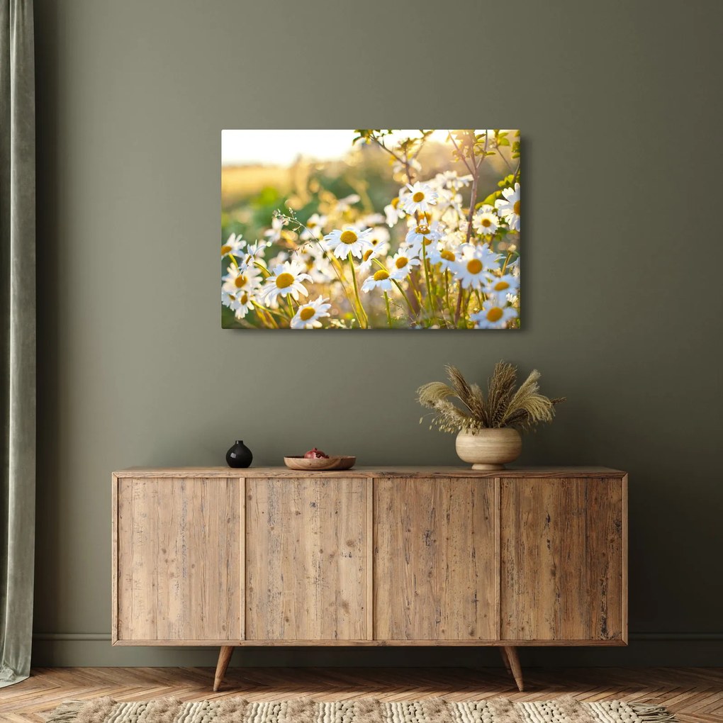 Kép - Százszorszépek (90x60 cm)