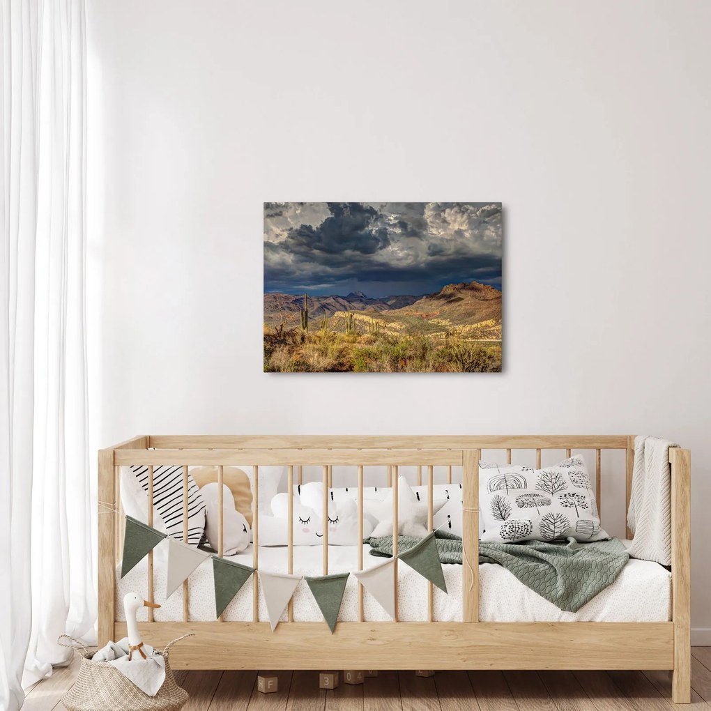 Kép - kaktuszok a természetben (70x50 cm)