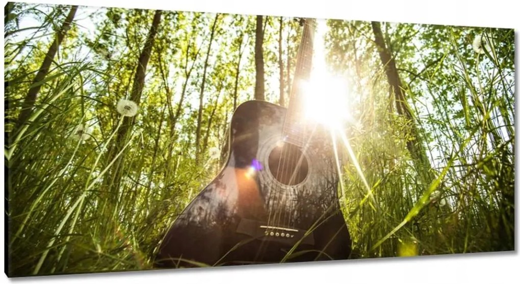 Festmények 115x55 Gitár