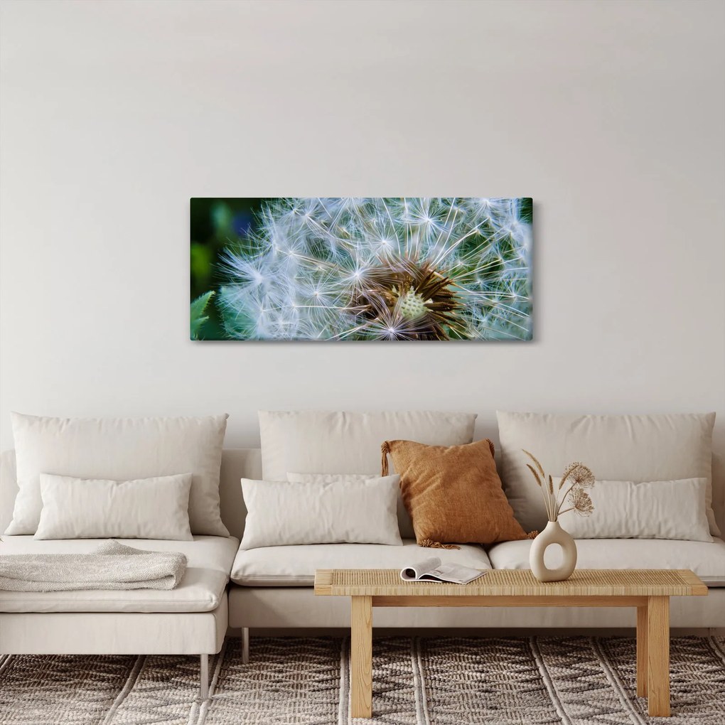 Elvirágzott pitypang képe (120x50 cm)