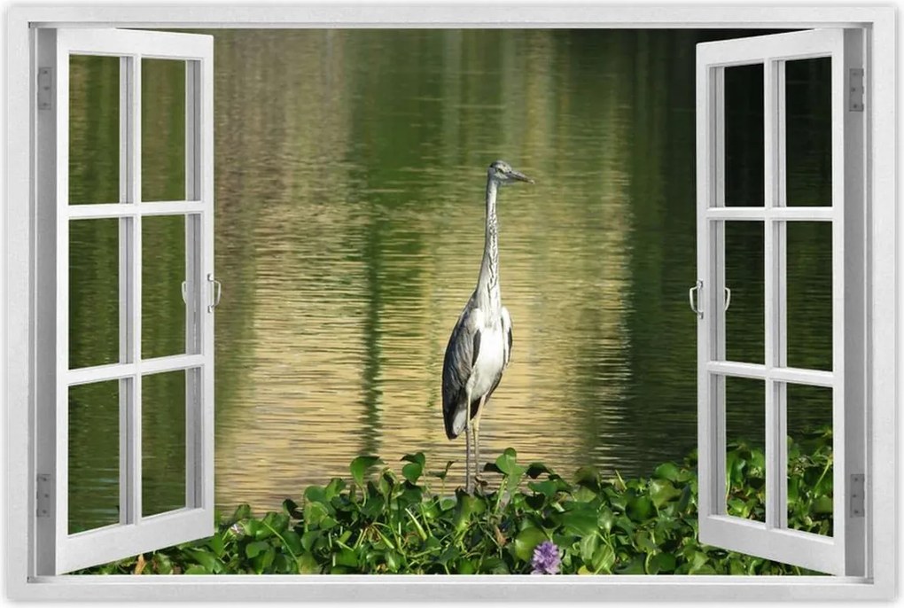 Poszterek 90x60 Kalapos madár Tájkép Kilátás