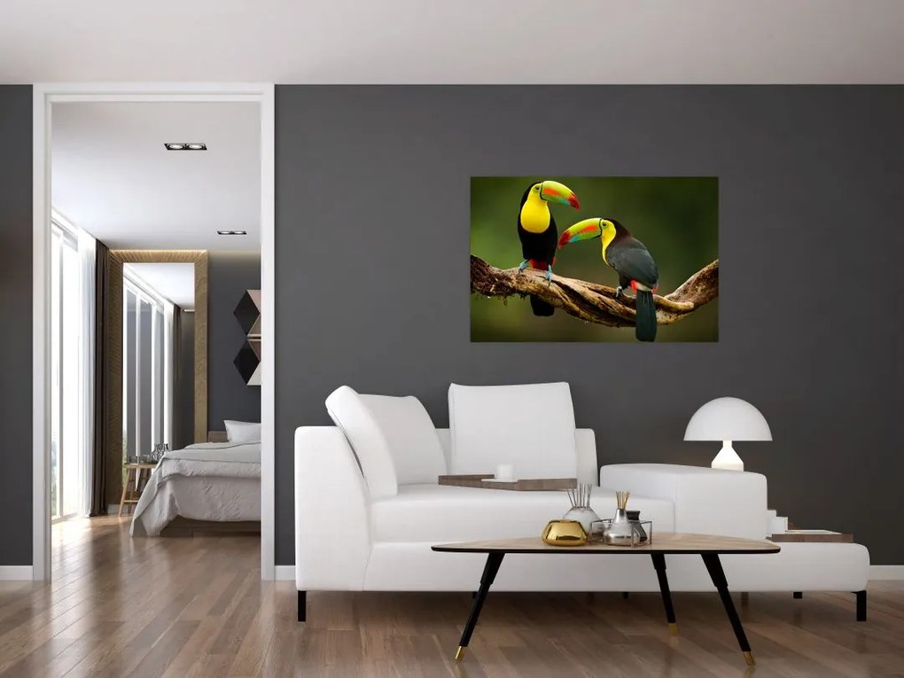 Ülő tukánok képe, Costa Rica (90x60 cm)