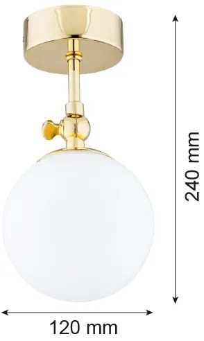 Argon 4001 - LATINA fürdőszobai, felületre szerelhető csillár 1xE14/40W/230V IP44