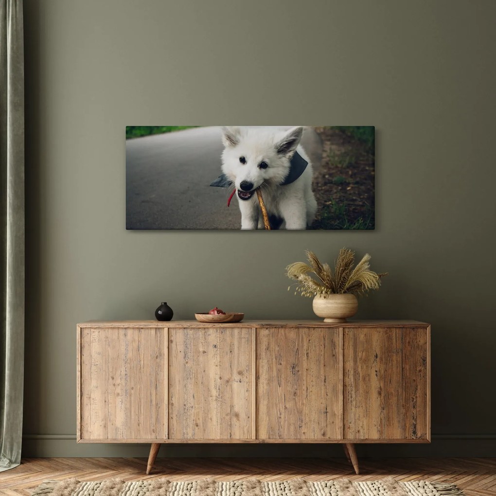 Egy fehér kutya képe (120x50 cm)