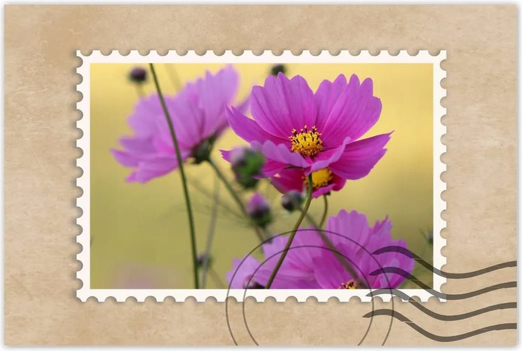 Poszterek 90x60 Virágok a réten