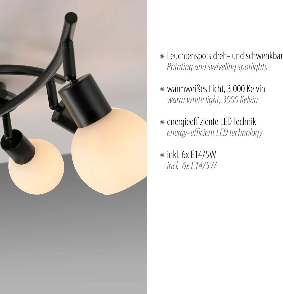 Paul Neuhaus modern spot lámpa loki fekete pln12155-18