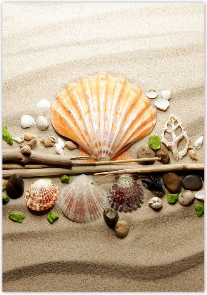 Poszterek 70x100 Kagylók Tengeri homok