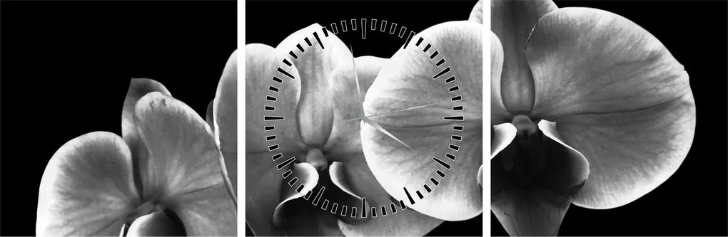 Egy orchidea virág képe (órával) (90x30 cm)