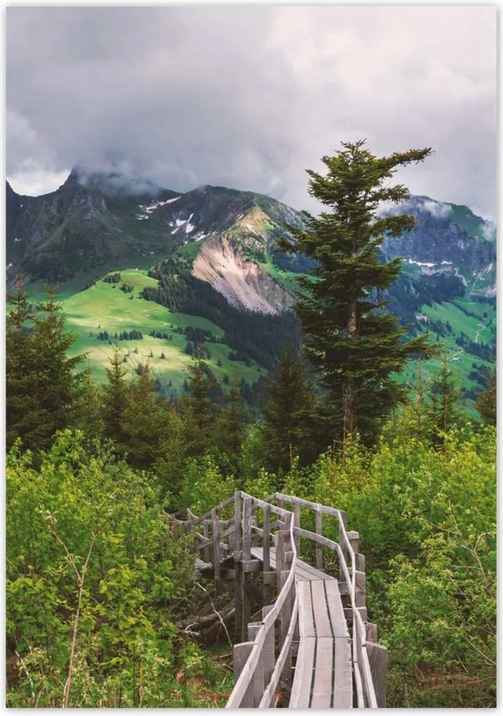 Poszterek 70x100 Híd Építészet Tájkép