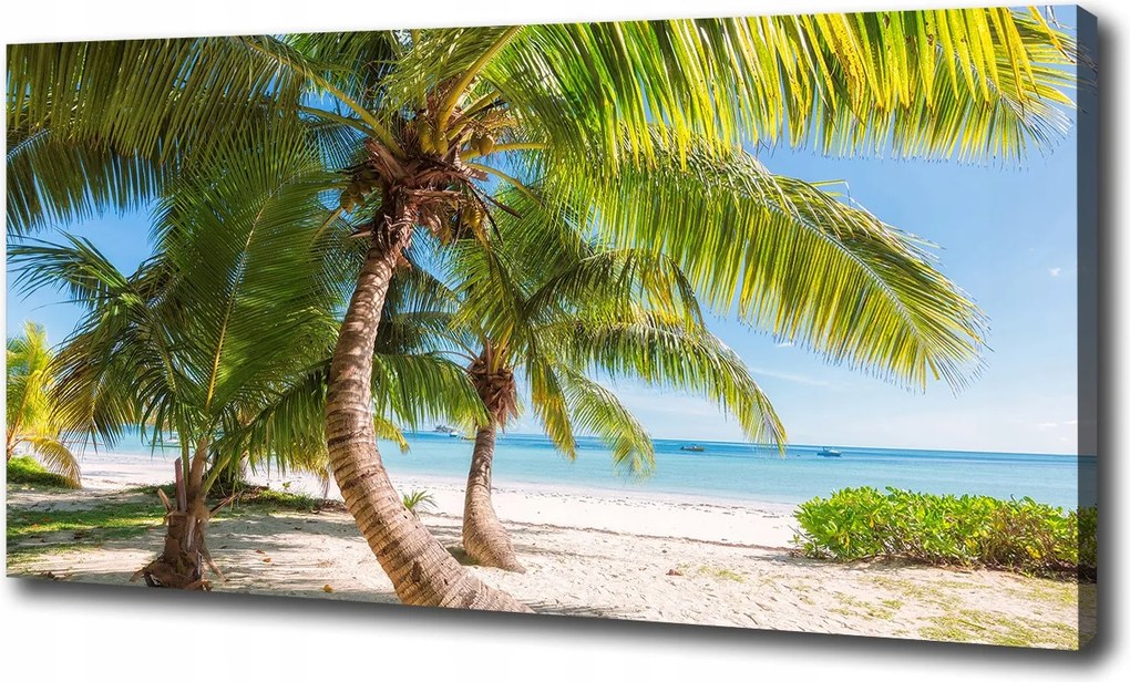Vászonkép Trópusi tengerpart 100x70 cm