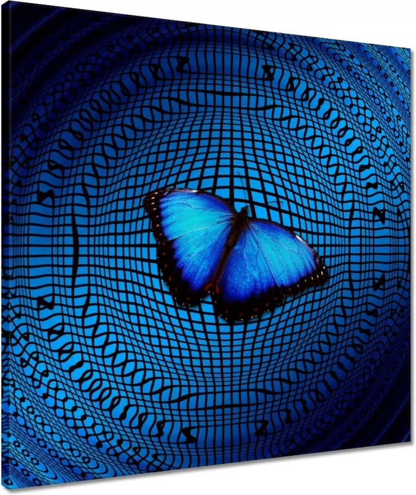 Vászonkép 50x50 Pillangó a medencében