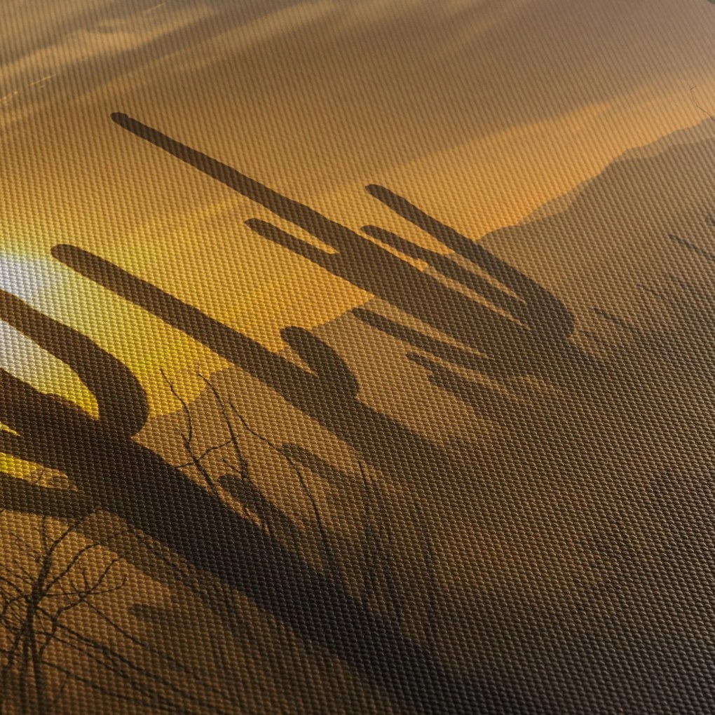 Kép - Saguaro kaktuszok (120x50 cm)