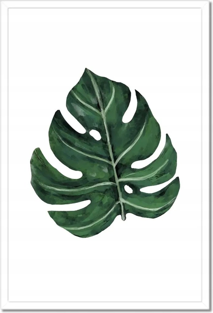 Poszter keretben 40x60 Monstera Zöld levél