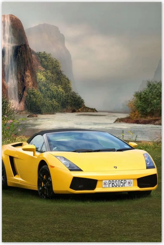 Poszterek 80x120 Ayto a varázslatos réten