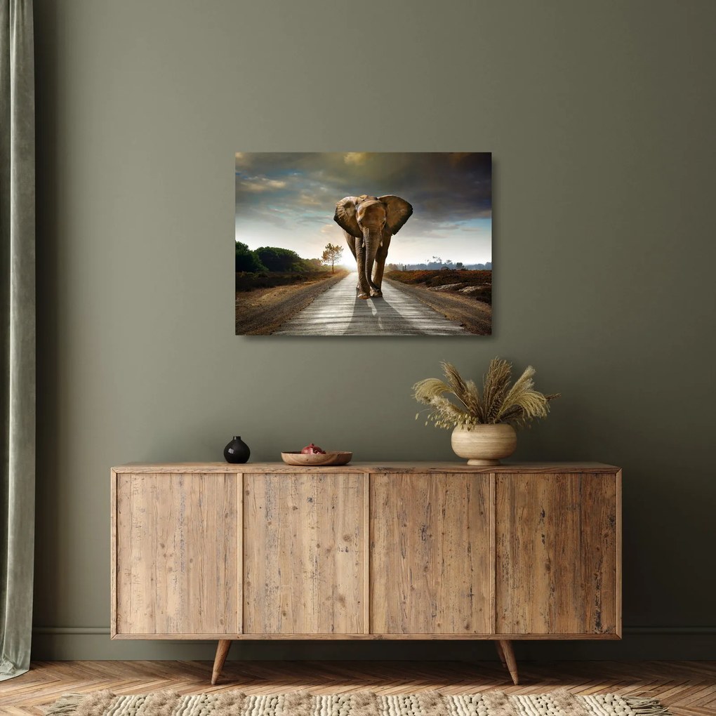 Elefánt képe (üvegen) (70x50 cm)