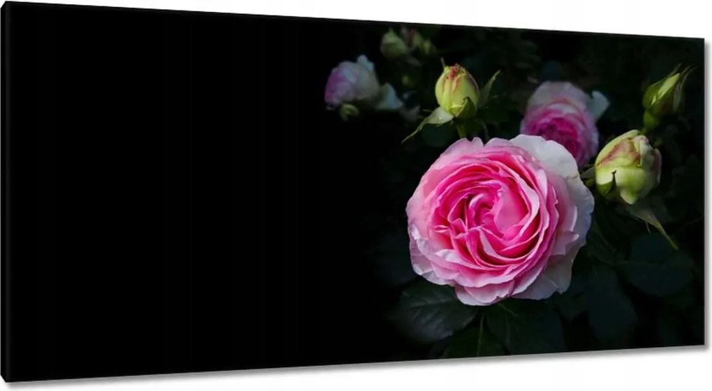 Vászonkép 115x55 Rózsaszín rózsabokor