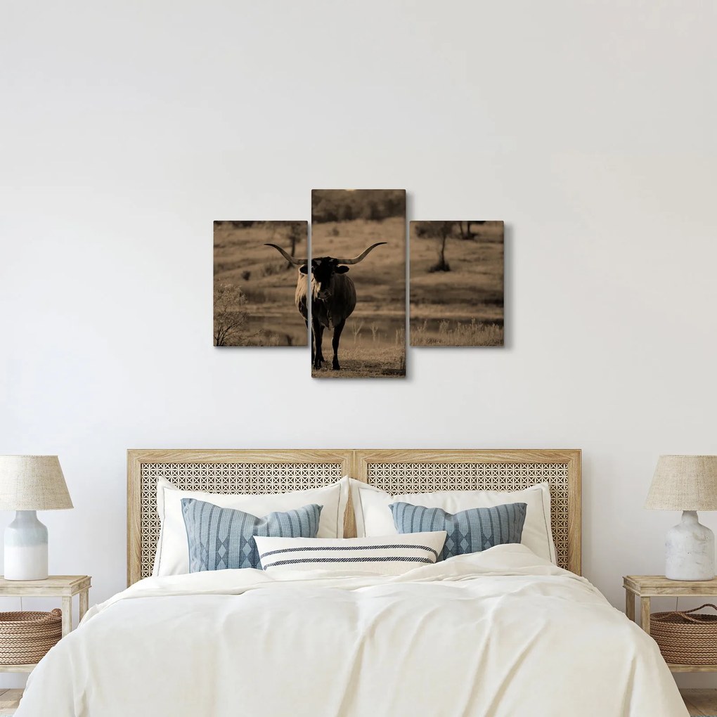 Kép - Texasi tehén (90x60 cm)