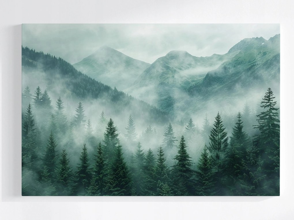 Vászonkép Canvas Hegyi Erdő Köd Nyugalom Rejtély Tájkép 60x40