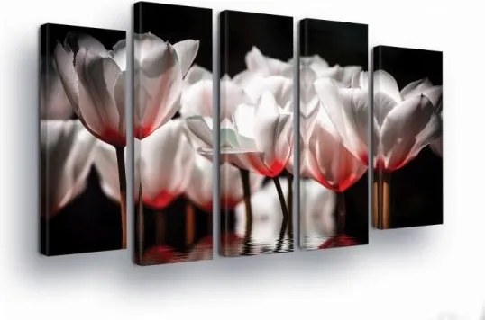 Vászonkép 150x100 Fehér virágok rózsaszín virágok piros virágok sötét háttér