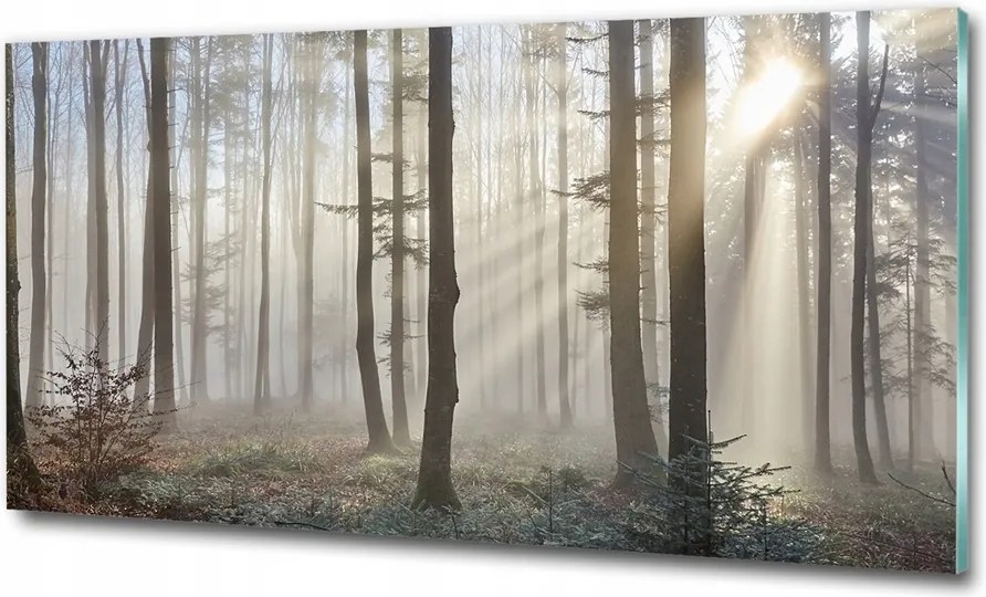 Fotó kép edzett üveg Hawaii tengerpart 100x70