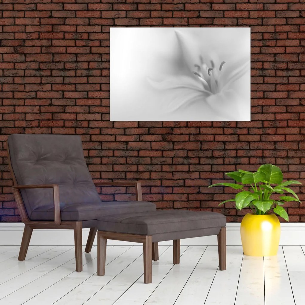 Kép - Delicate Lily (90x60 cm)