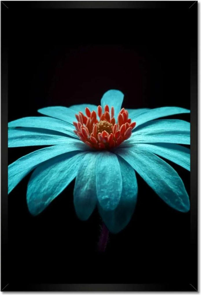 Poszter keretben 40x60 Türkiz virág