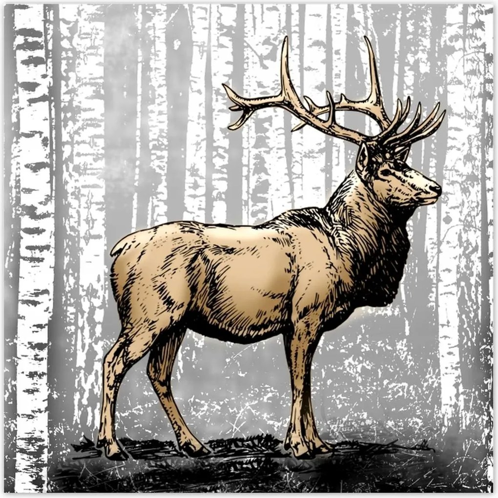 Poszterek 70x70 Szarvas Nyírfa Erdő