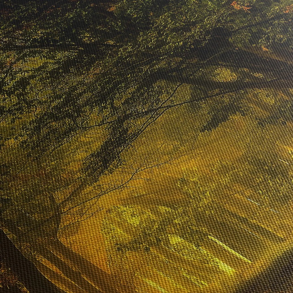 Erdő képe (150x105 cm)