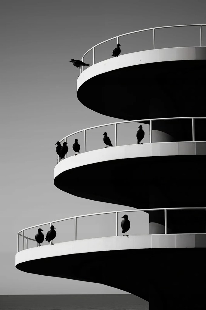 Poszter 61x91,5cm Holló árnyalatok