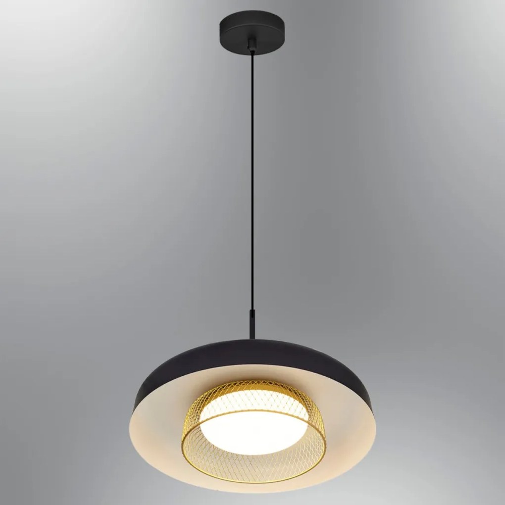 Petiti - 1432-1A-19