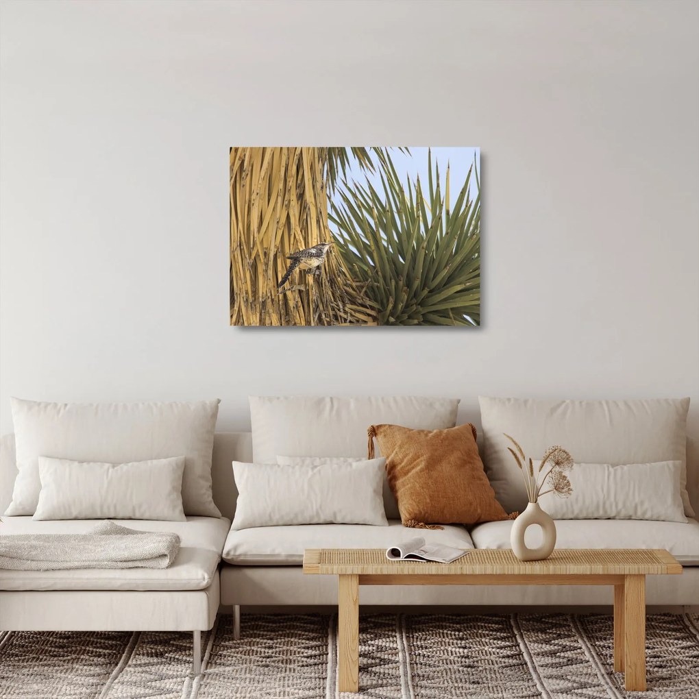 Kép - Ökörszem (üvegen) (70x50 cm)